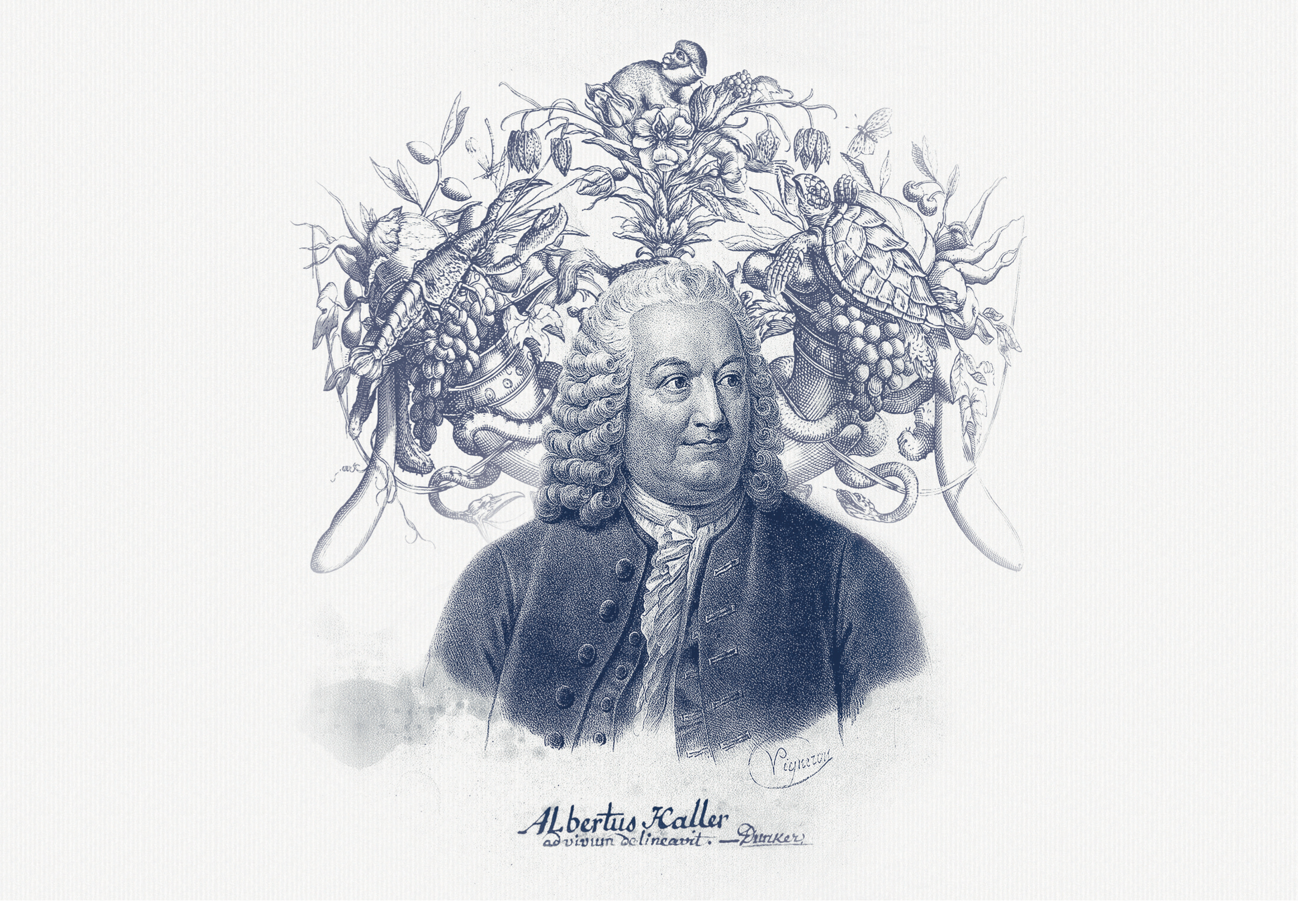 Von Hallers Gin